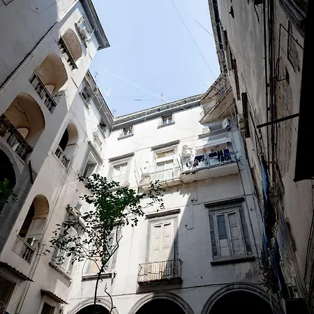 La Casa Sull'albero *