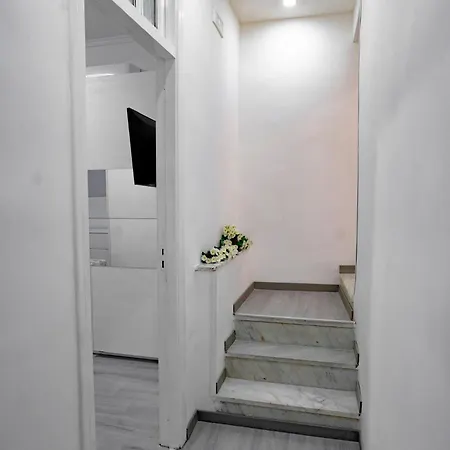 La Casa Sull'albero *