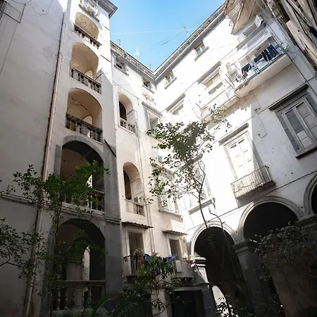 La Casa Sull'albero Napoli
