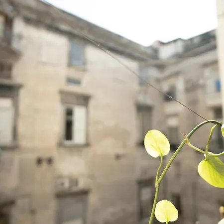 Appartamento La Casa Sull'albero *
